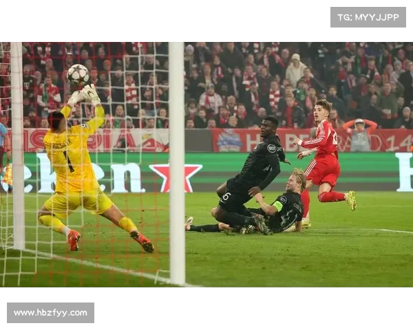 拜仁慕尼黑体育场十大必知精彩信息揭秘