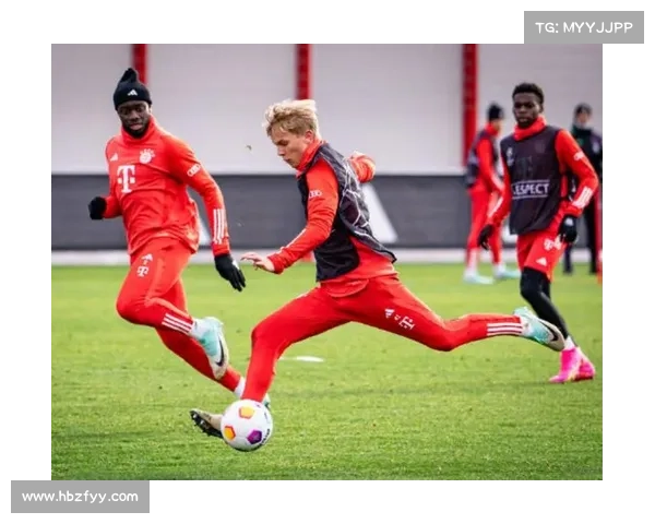 拜仁与戴尔能力分析中的核心问题及其解决方案探讨 拜仁与戴尔能力分析中的核心问题及其解决方案探讨